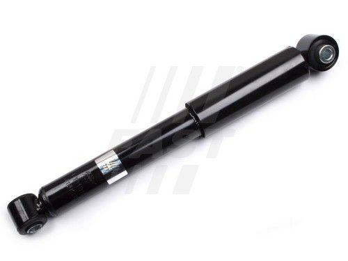 Ft11316-fast20200214-23933-1450oij_original