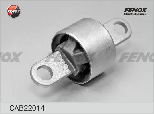 Cab22014-fenox20200214-23933-435xwk_original