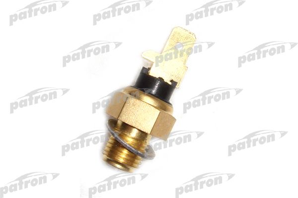 Pe13012-patron20200226-14760-521iwa_original