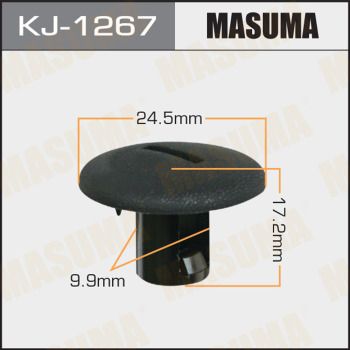 Kj1267-masuma20200224-14760-hzbpdo_original