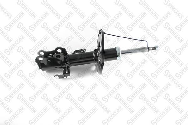 42141106sx-stellox20200229-23120-1po13l3_original