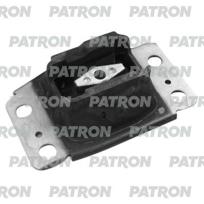 Pse30403-patron20200216-1300-1s8740i_original