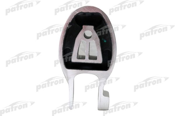Pse3819-patron20200216-1300-1xliuhc_original
