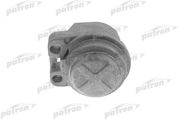 Pse3970-patron20200216-1300-1gslcr8_original