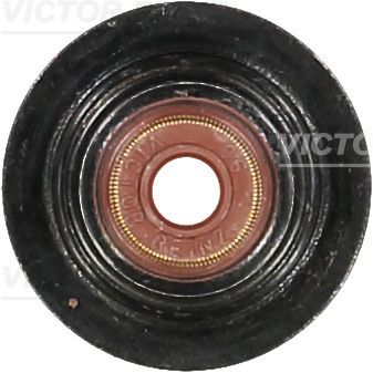 703772800-reinz20200216-1300-o5fobi_original