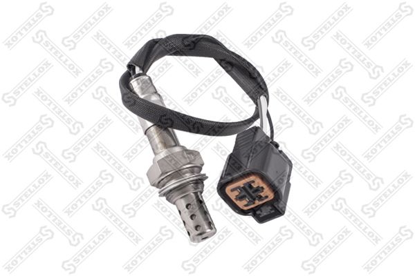 2000012sx-stellox20200217-10364-mzg5py_original