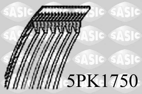 5pk1750-sasic20200217-10364-zjrcpe_original