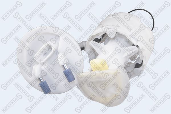 1002043sx-stellox20200217-10364-1cet7j9_original