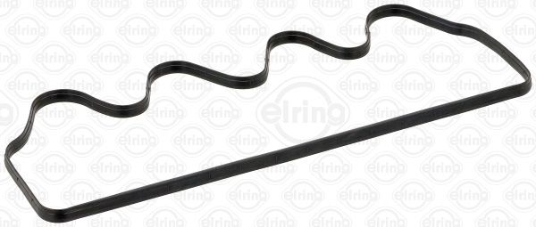 703451-elring20200217-10364-zkgq7n_original