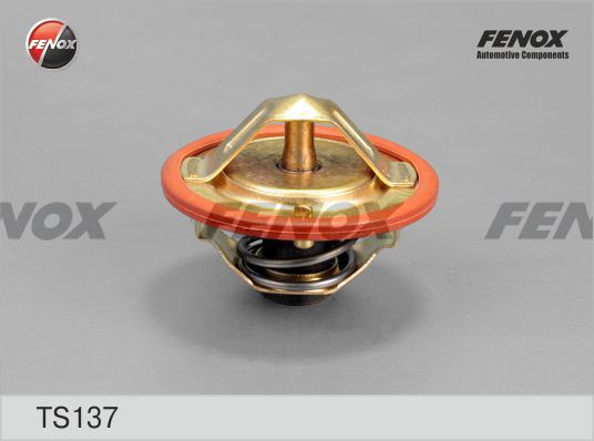Ts137-fenox20200217-10364-g8q63i_original
