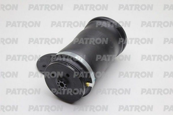 Pas1012-patron20200218-27360-ak60ca_original