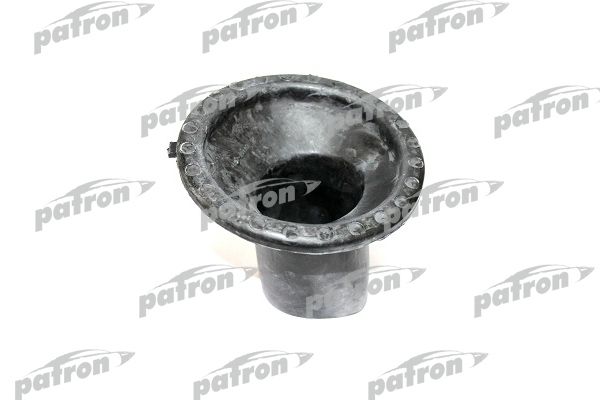 Pse6256-patron20200218-27360-1u4mrjj_original