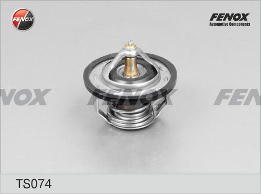 Ts074-fenox20200219-27360-mswi1v_original