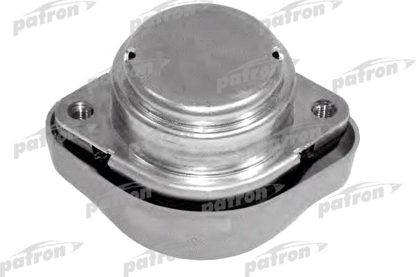 Pse3089-patron20200219-27360-18b9wgi_original