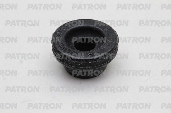 Pse4357-patron20200220-18627-brjy6k_original