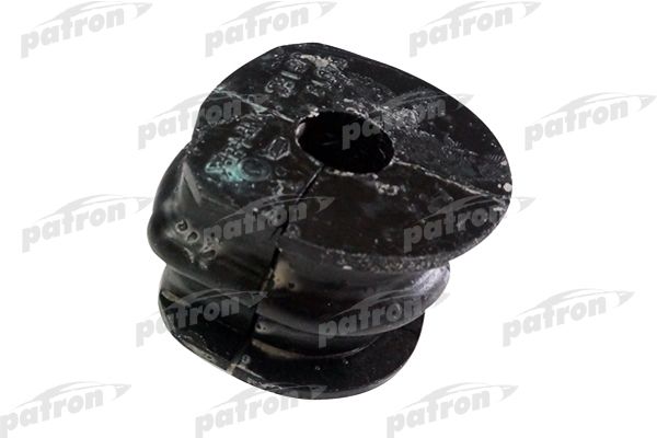 Pse2516-patron20200220-18627-17jvi1t_original