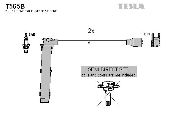 T565b-tesla20200222-14760-1sheccv_original