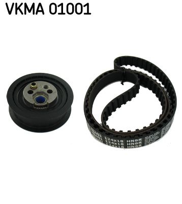 Vkma01001-skf20200225-14760-1x1mqjw_original