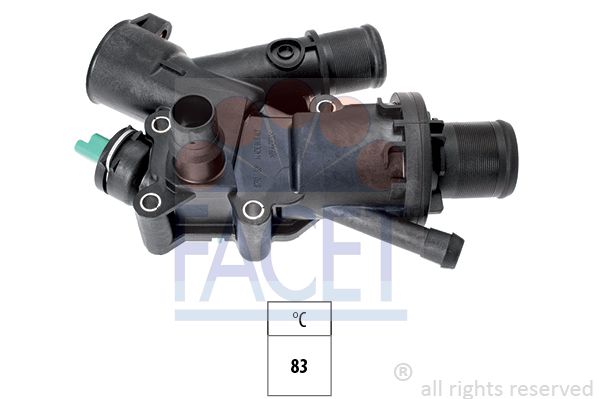 78790-facet20200227-1155-51hyq6_original