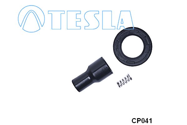 Cp041-tesla20200224-14760-1c7ndyf_original