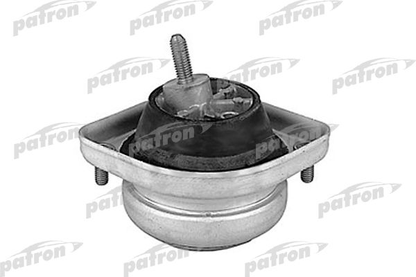 Pse3077-patron20200224-14760-1k5k5qt_original