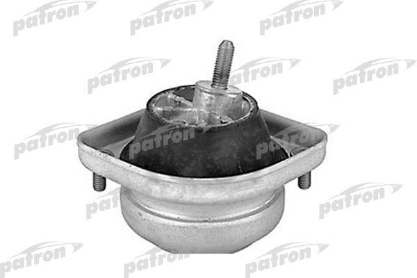 Pse3078-patron20200224-14760-1vzdl18_original