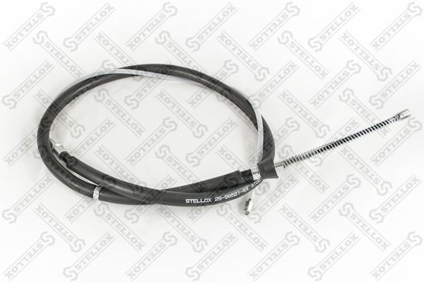 2998521sx-stellox20200225-14760-9xn47v_original