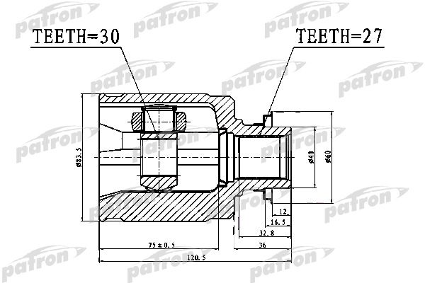 Pcv1017-patron20200225-14760-me05h8_original