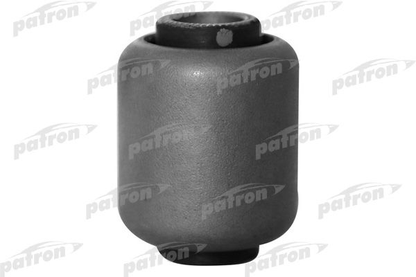 Pse10106-patron20200225-14760-71zoq9_original