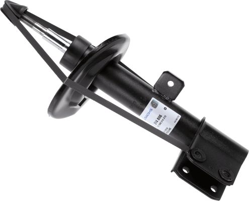 314886-sachs20200301-23120-ehec24_original