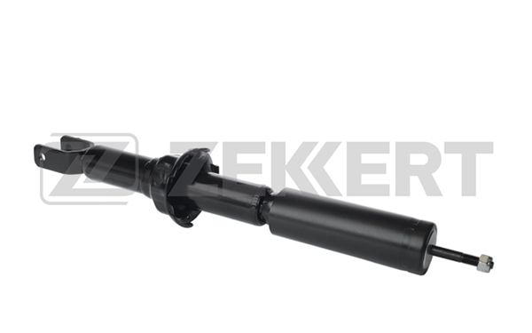 Sg2356-zekkert20200302-19460-2its87_original