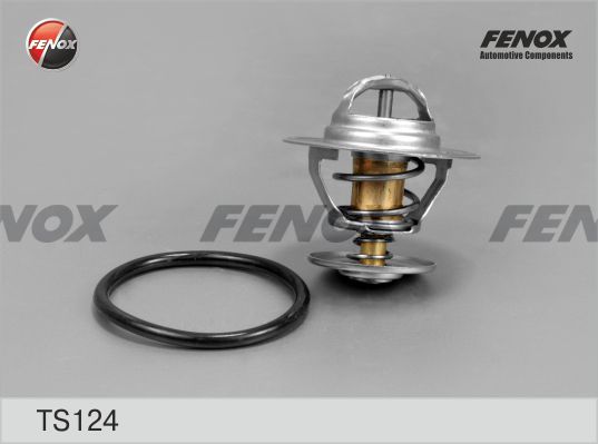 Ts124-fenox20200226-14760-6h913h_original