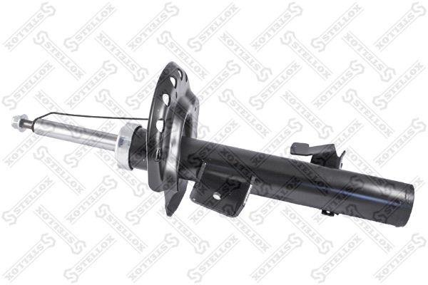 42039293sx-stellox20200226-14760-174nrvf_original