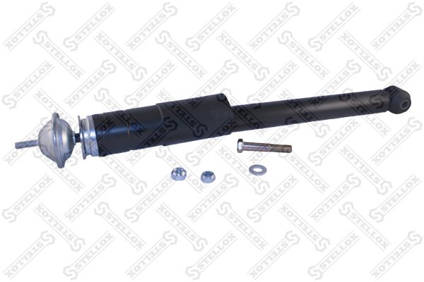 32120007sx-stellox20200226-14760-albet8_original