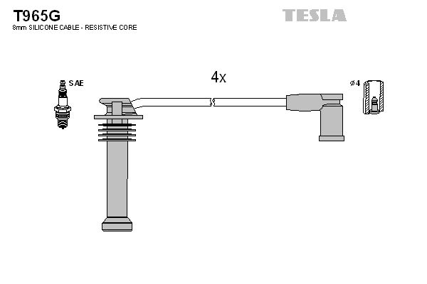 T965g-tesla20200226-14760-1j6jz6_original