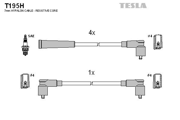 T195h-tesla20200227-1155-3e8xin_original