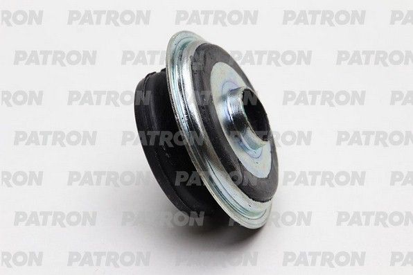 Pse4321-patron20200227-1155-i7w9lg_original