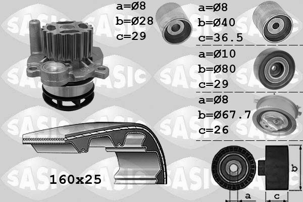 3906079-sasic20200303-19460-ke3imn_original
