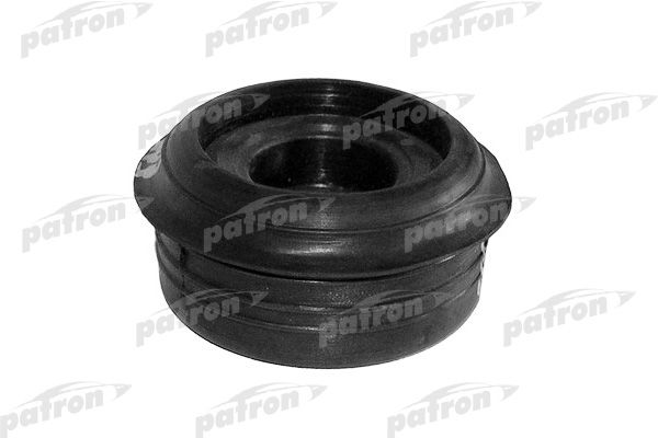 Pse4306-patron20200229-23120-1qpc3cr_original