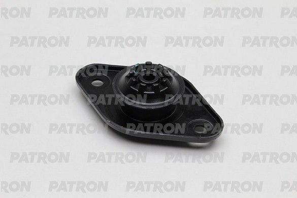 Pse4308-patron20200229-23120-codc4g_original