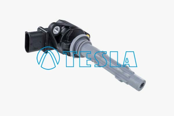 Cl621-tesla20200229-23120-16tcc5f_original