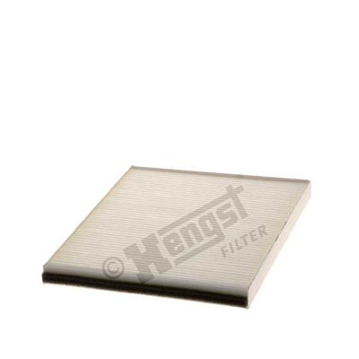 E1975li-hengst20200229-23120-ulo13b_original
