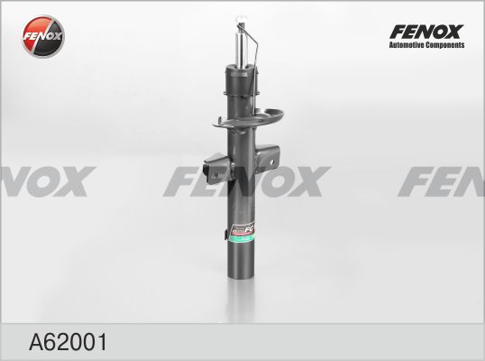 A62001-fenox20200301-23120-exss2g_original