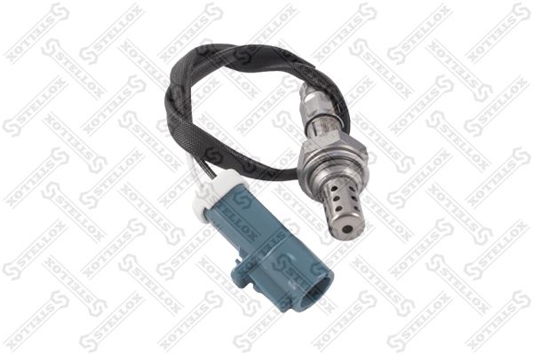 2000037sx-stellox20200301-23120-t88qk2_original