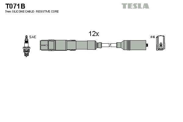 T071b-tesla20200302-19460-1adkoba_original