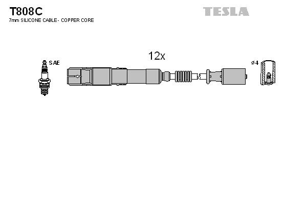 T808c-tesla20200302-19460-1r0zsov_original