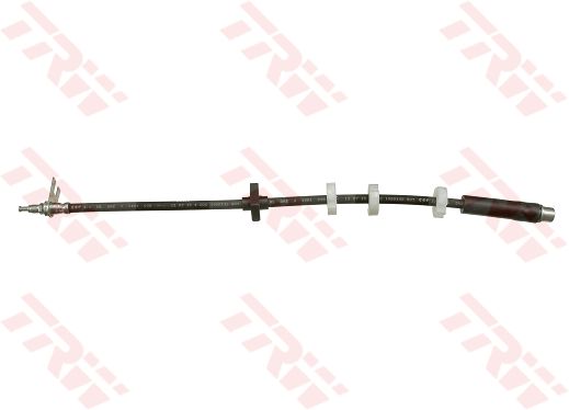 Phb367-trw-lucas20200302-19460-l3ojt2_original