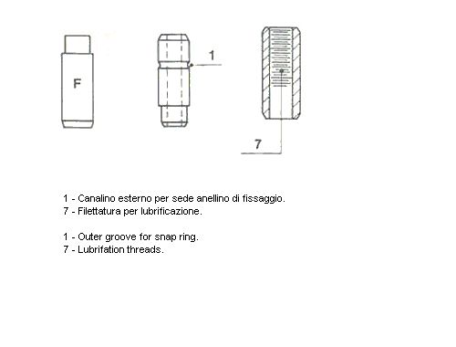 011369-metelli20200302-19460-40h1tl_original