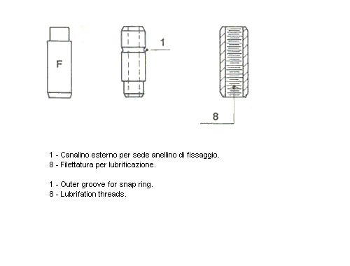 011370-metelli20200302-19460-37rlld_original