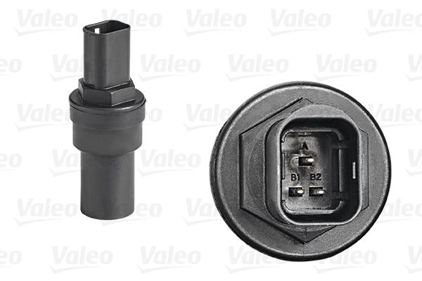 255302-valeo20200131-1016-1bzkkgf_original